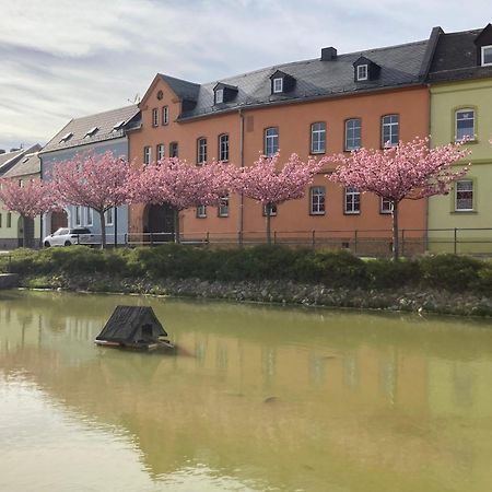 Pension Und Ferienwohnung Am Teich Schleiz Exteriör bild