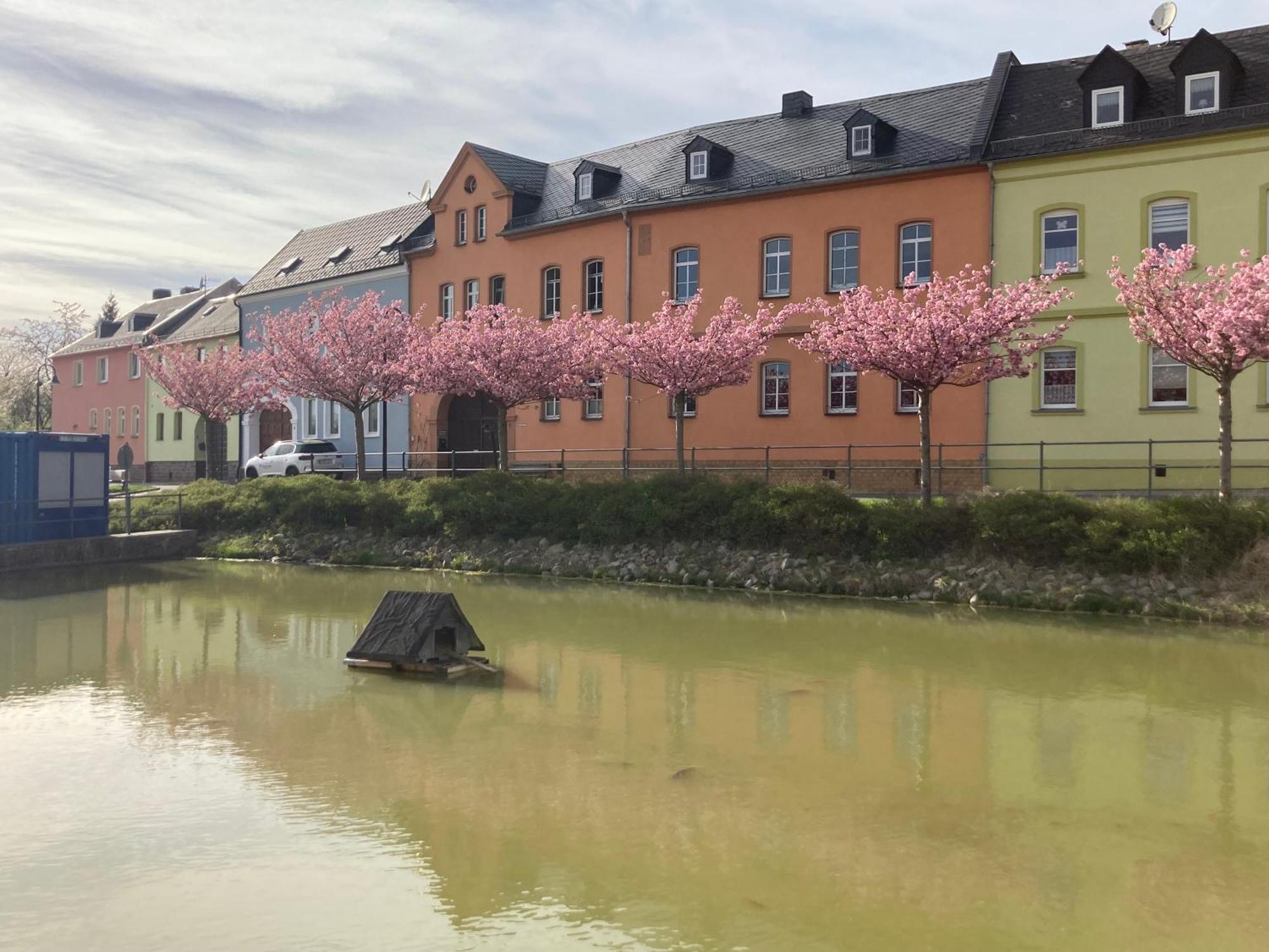 Pension Und Ferienwohnung Am Teich Schleiz Exteriör bild