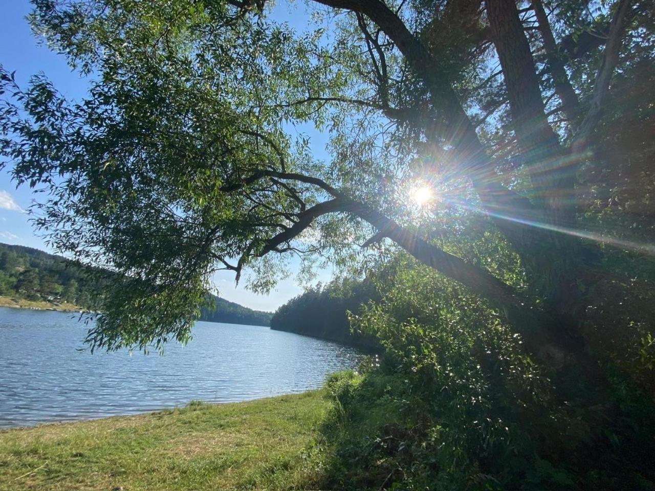 Pension Und Ferienwohnung Am Teich Schleiz Exteriör bild