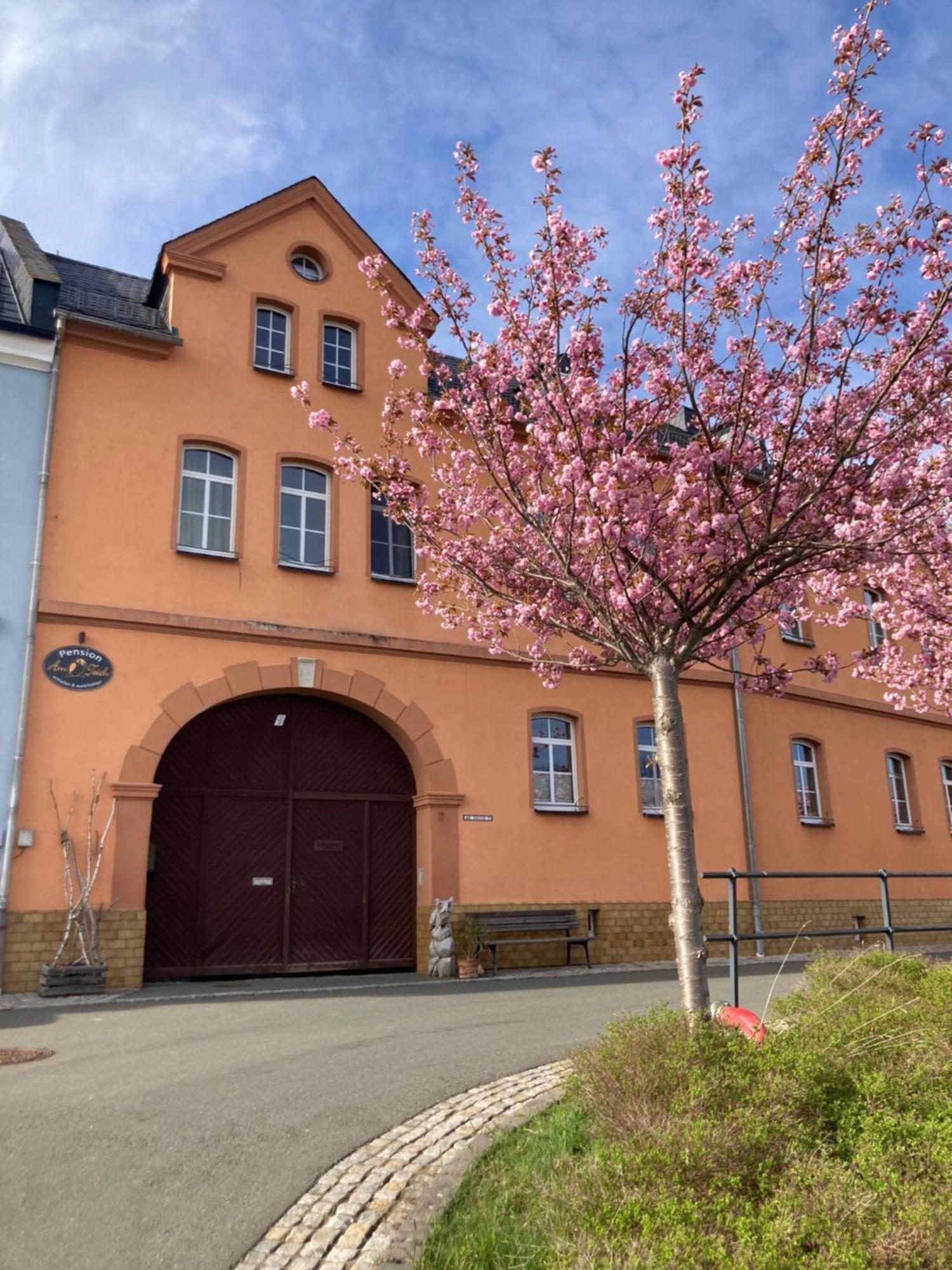 Pension Und Ferienwohnung Am Teich Schleiz Exteriör bild
