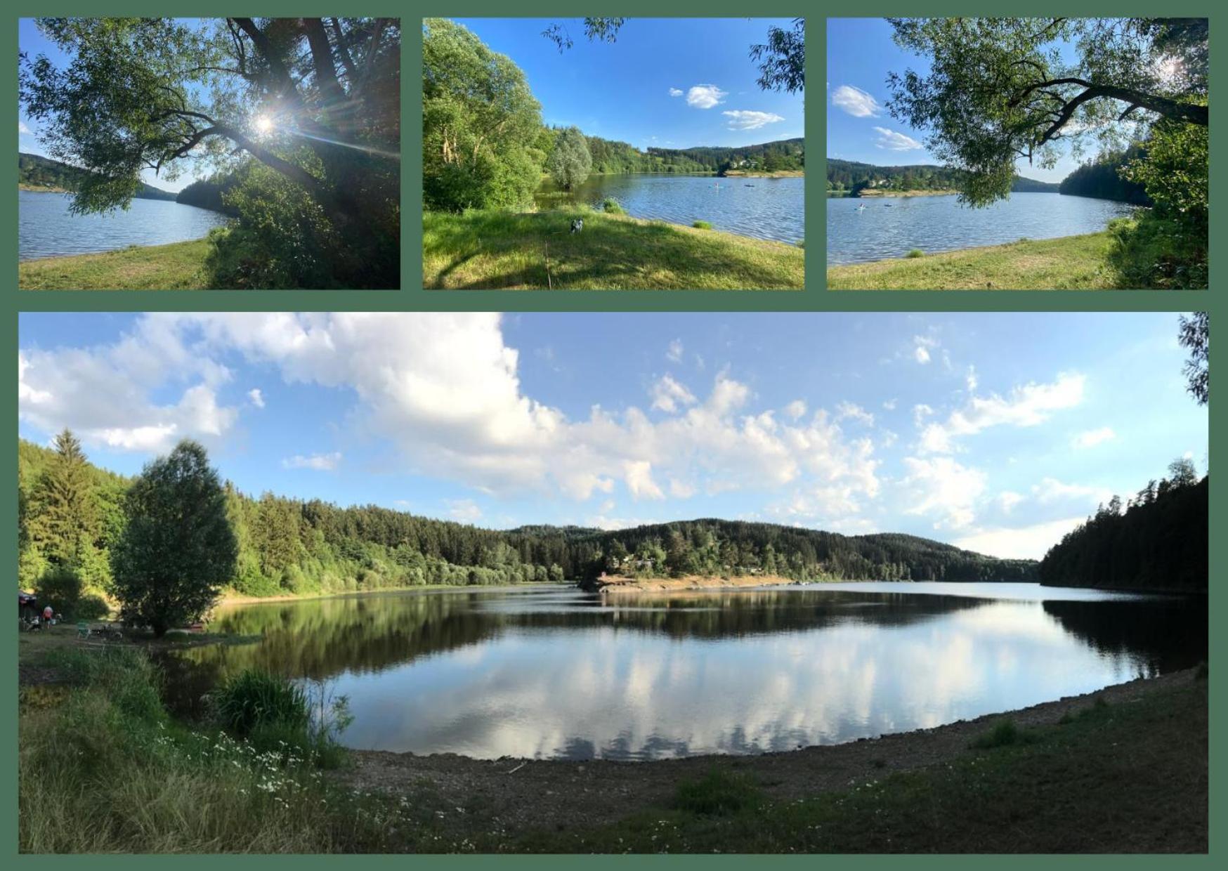 Pension Und Ferienwohnung Am Teich Schleiz Exteriör bild
